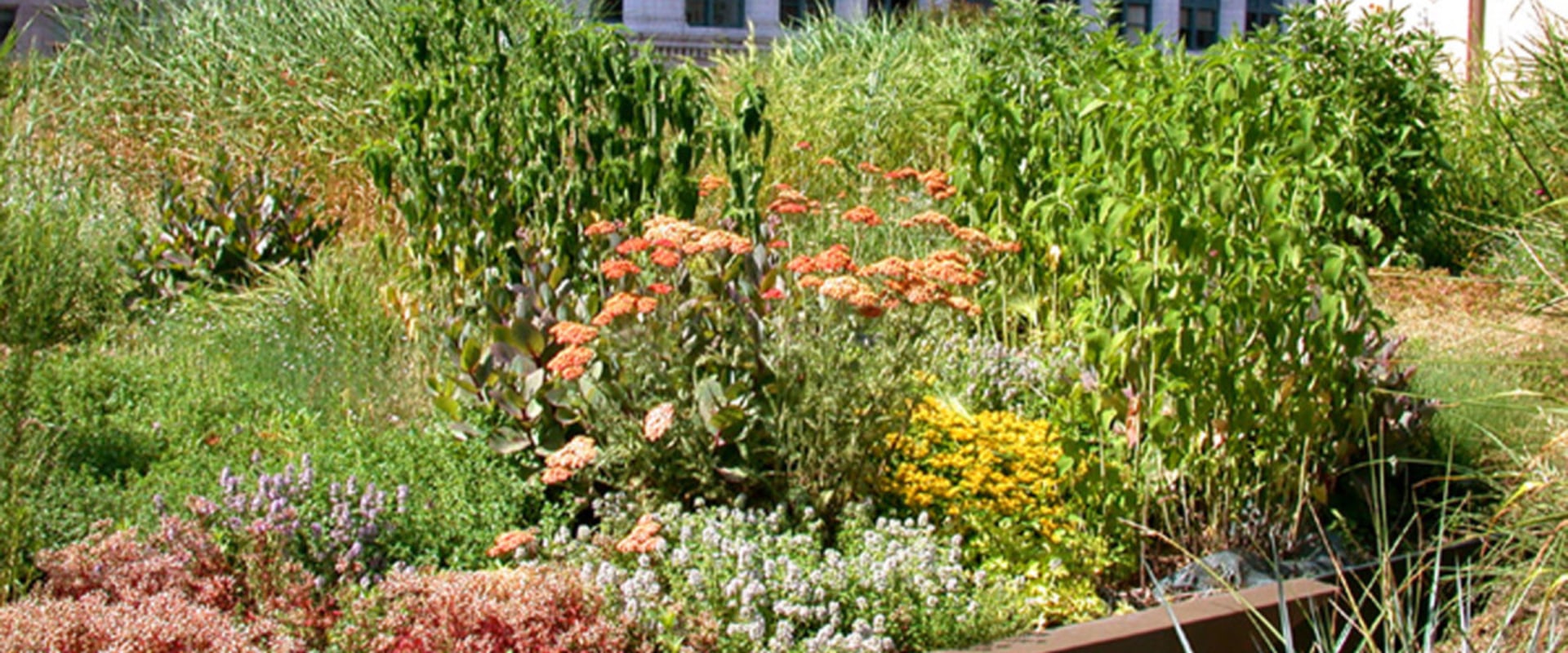 Creating a Sustainable Home: The Benefits of Roof Gardens and Terraces