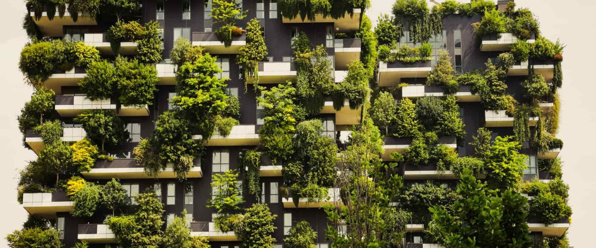 Lowering Utility Costs: The Economic Benefits of Sustainable House Design