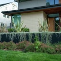 Reduced Carbon Footprint: How to Create an Eco-Friendly and Energy-Efficient Home