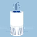 Insulation and Air Purification Benefits for Sustainable Home Design