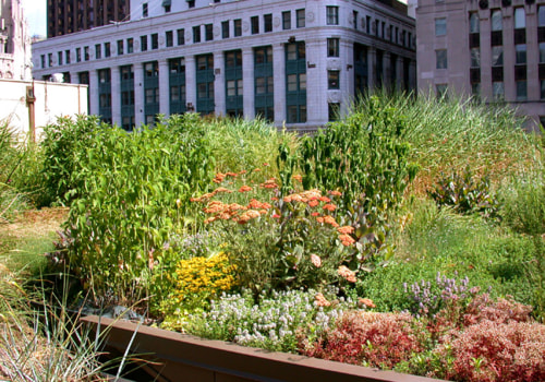 Creating a Sustainable Home: The Benefits of Roof Gardens and Terraces